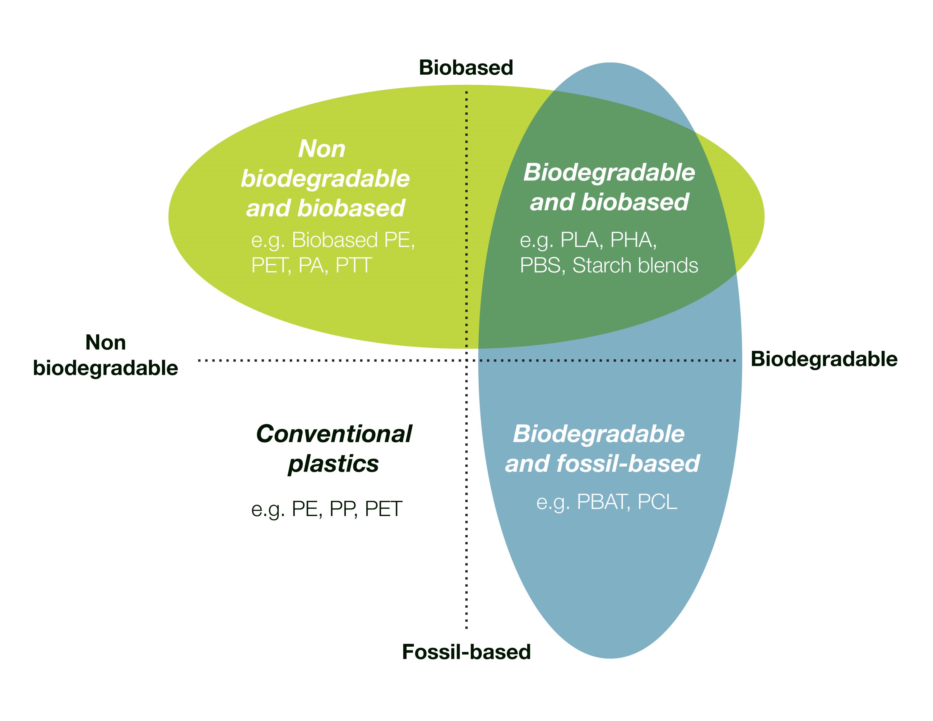 Bio Based Model