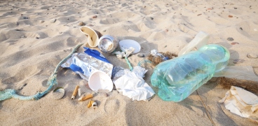 Litter & Marine Waste