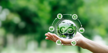 Circular Economy Updates: A year in review