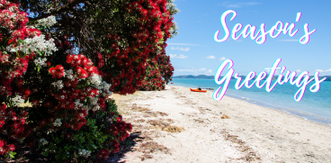 Reflecting on 2025 Achievements