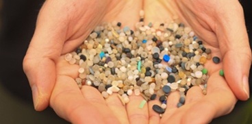 Operation Clean Sweep NZ – In the Spotlight